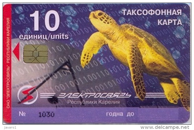 PETROZAVODSK : PET-38 10 EKOTEC Map - Sea Turtle USED Exp:31.03.03 - Russland