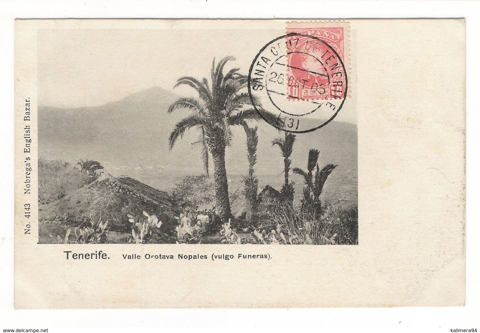 ESPAGNE / ISLAS CANARIAS / TENERIFE / VALLE OROTAVA NOPALES ( Vulgo Funeras ) /  Edit. NOBREGA  N° 4143 ( Beau Cachet ) - Tenerife