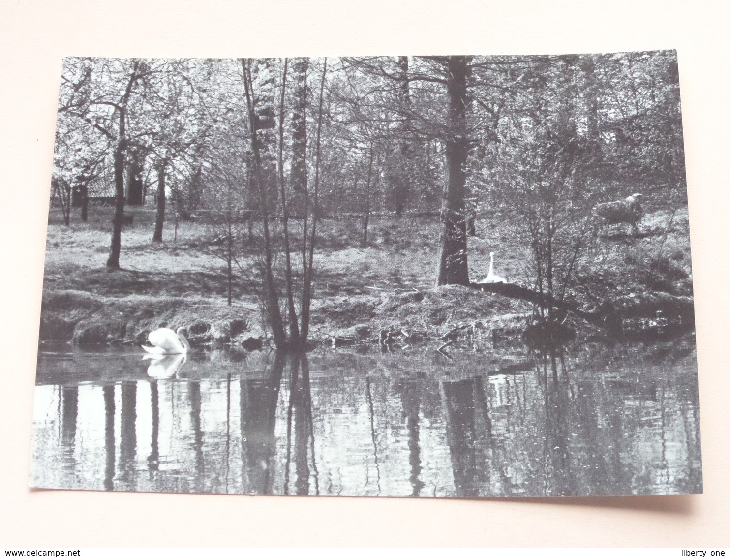 Kasteel ZELLAAR Gemeenschapsretraites Pusesteenweg BONHEIDEN () Anno 197? ( Zie Foto's ) ! - Bonheiden