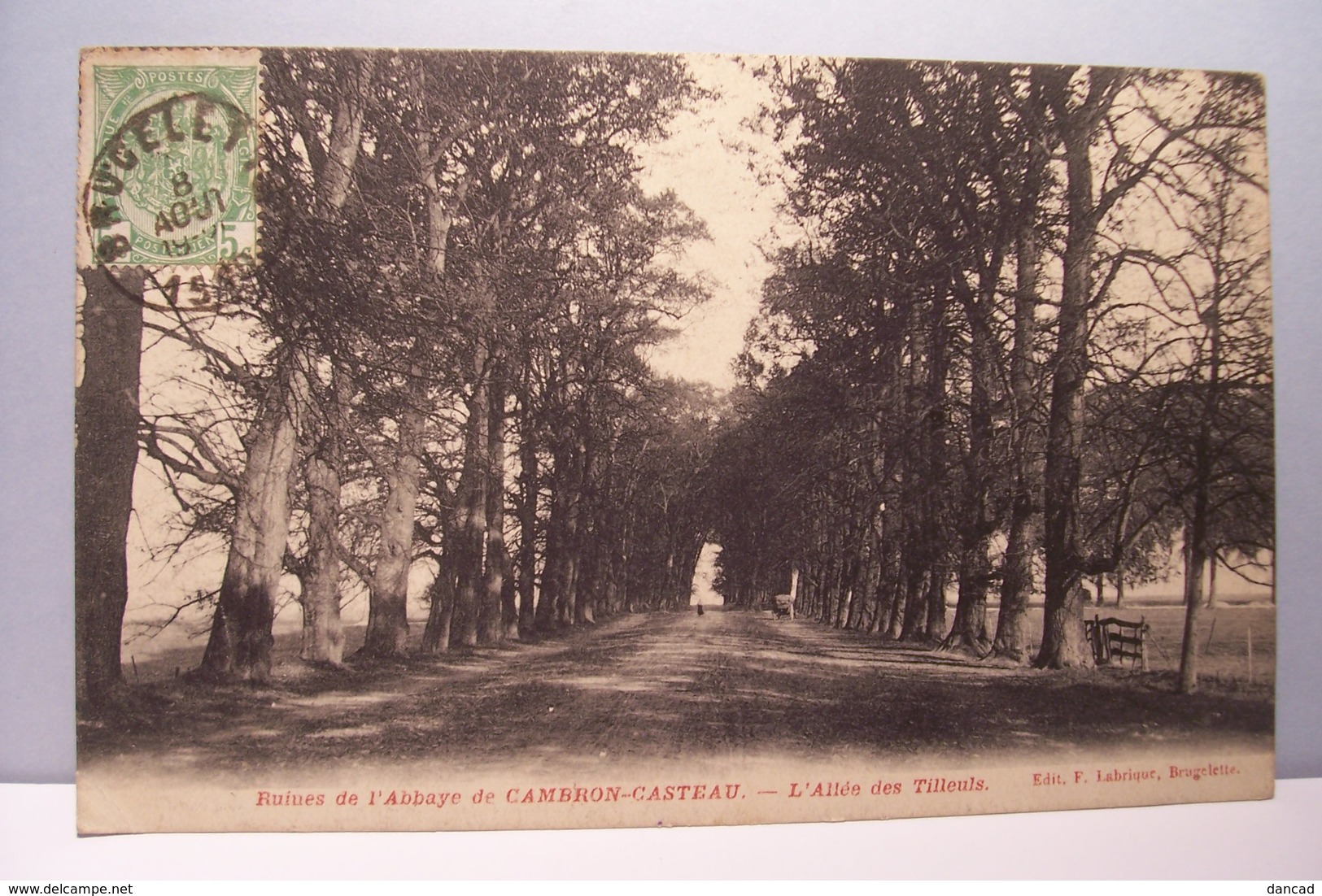 CAMBRON - CASTEAU   -   Ruines De L'Abbaye - L'Allée Des  Tilleuls - Brugelette