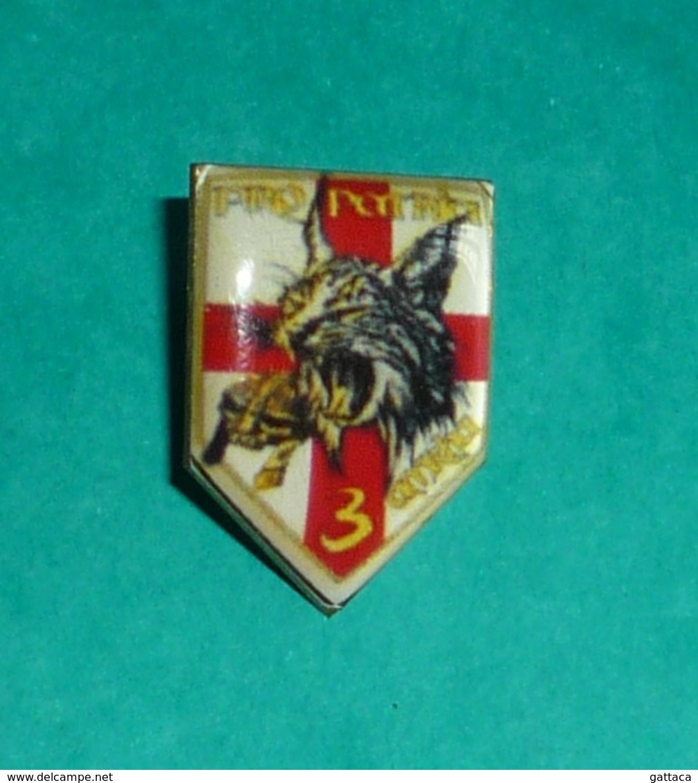 PIN'S MILITAIRE - Armée De Terre