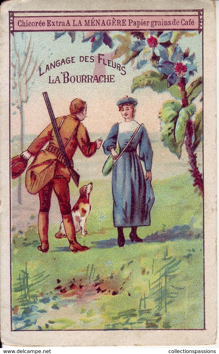 - CHOCOLAT DUROYON & RAMETTE - Language Des Fleurs. La Bourrache - Cambrai - - Duroyon & Ramette