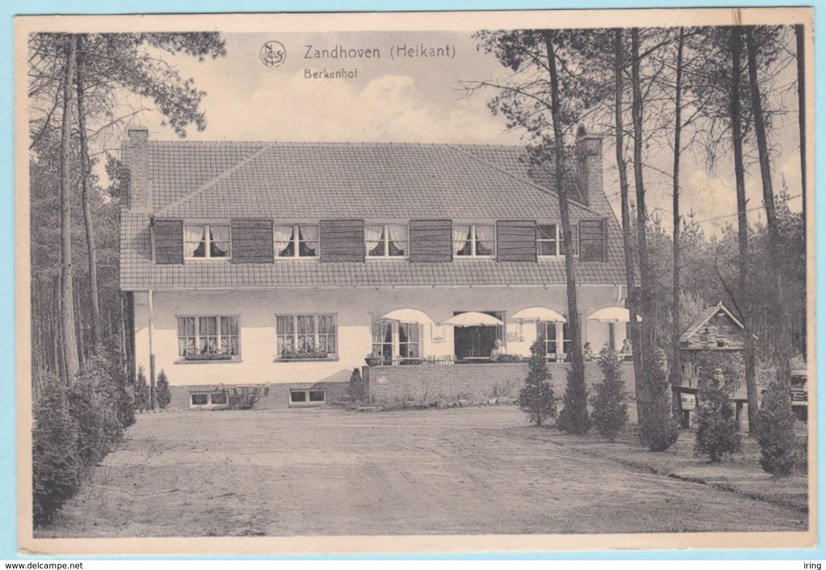Zandhoven (Heikant) : Berkenhof - Zandhoven