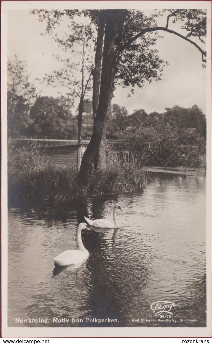 Zweden Sverige Norrkoping Motiv Fran Folkparken Sweden Suede Old Postcard Zwanen Zwaan Schwan Cygne Cisne Swan - Suède