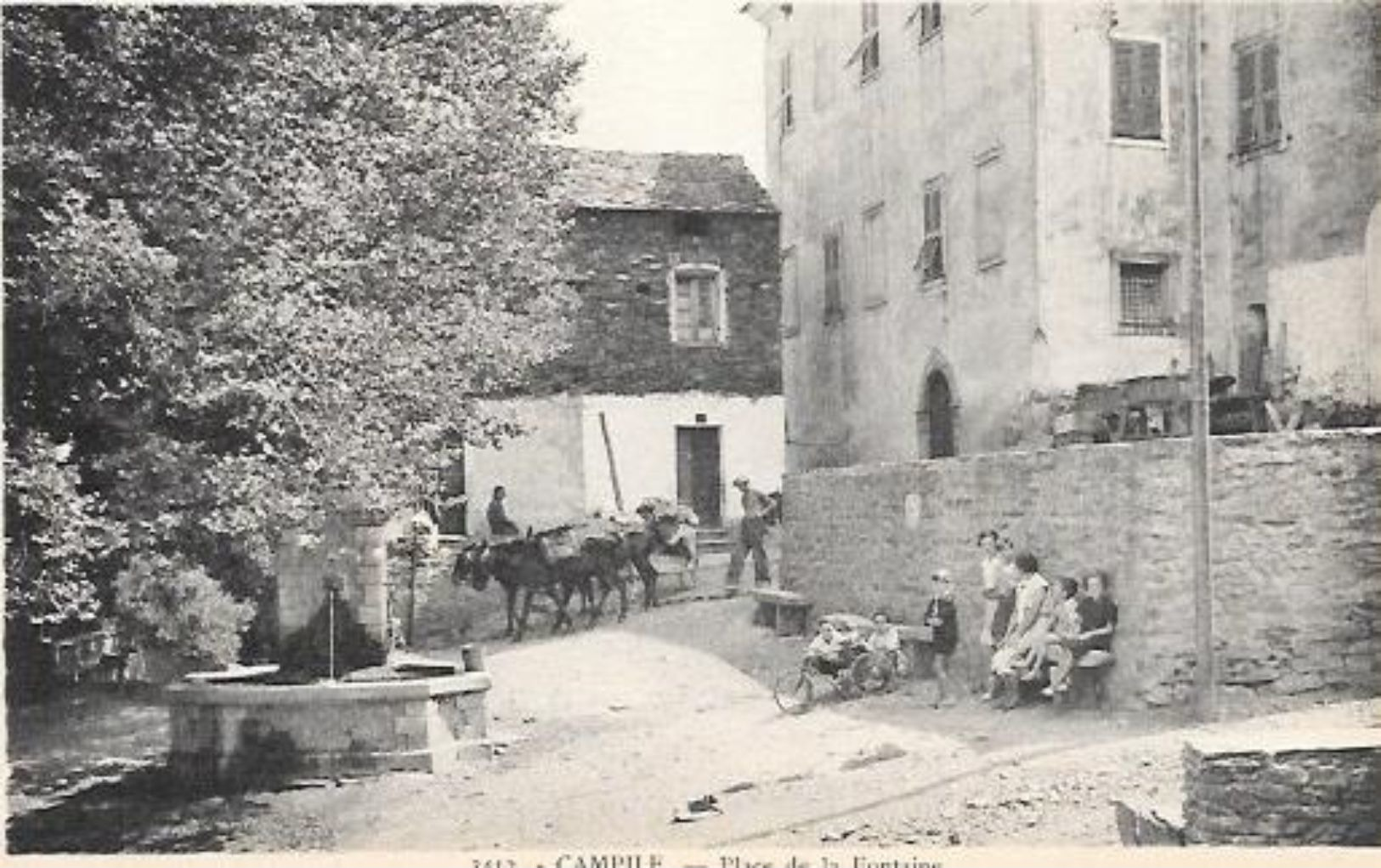 CORSE CPA CAMPILE PLACE DE LA FONTAINE TRES BELLE ANIMATION CARTE RARE - Autres & Non Classés