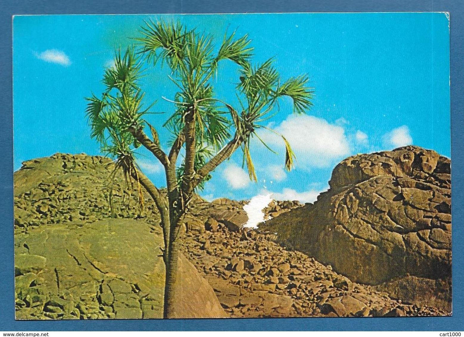 SUDAN ON CARD COUNTRY SIDE - Sudan (1954-...)