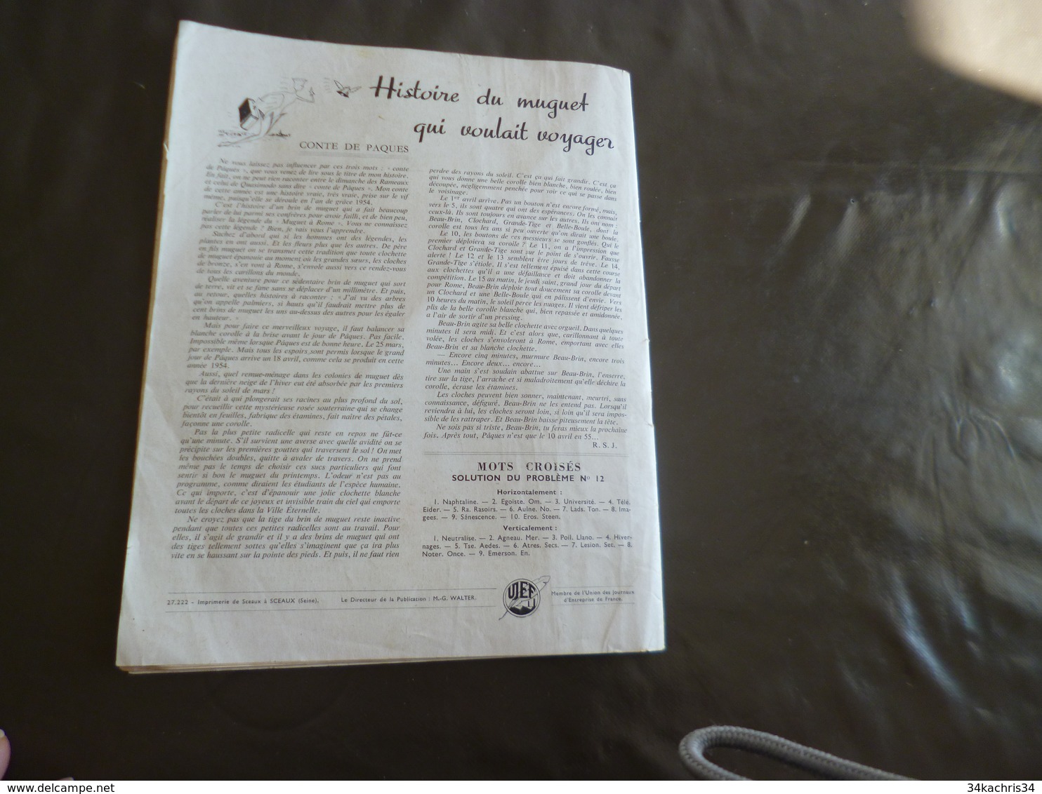 Journal Afrique Tam Tam Avril 1954 N°13 19 pages Numéro spécial Côte d'Ivoire