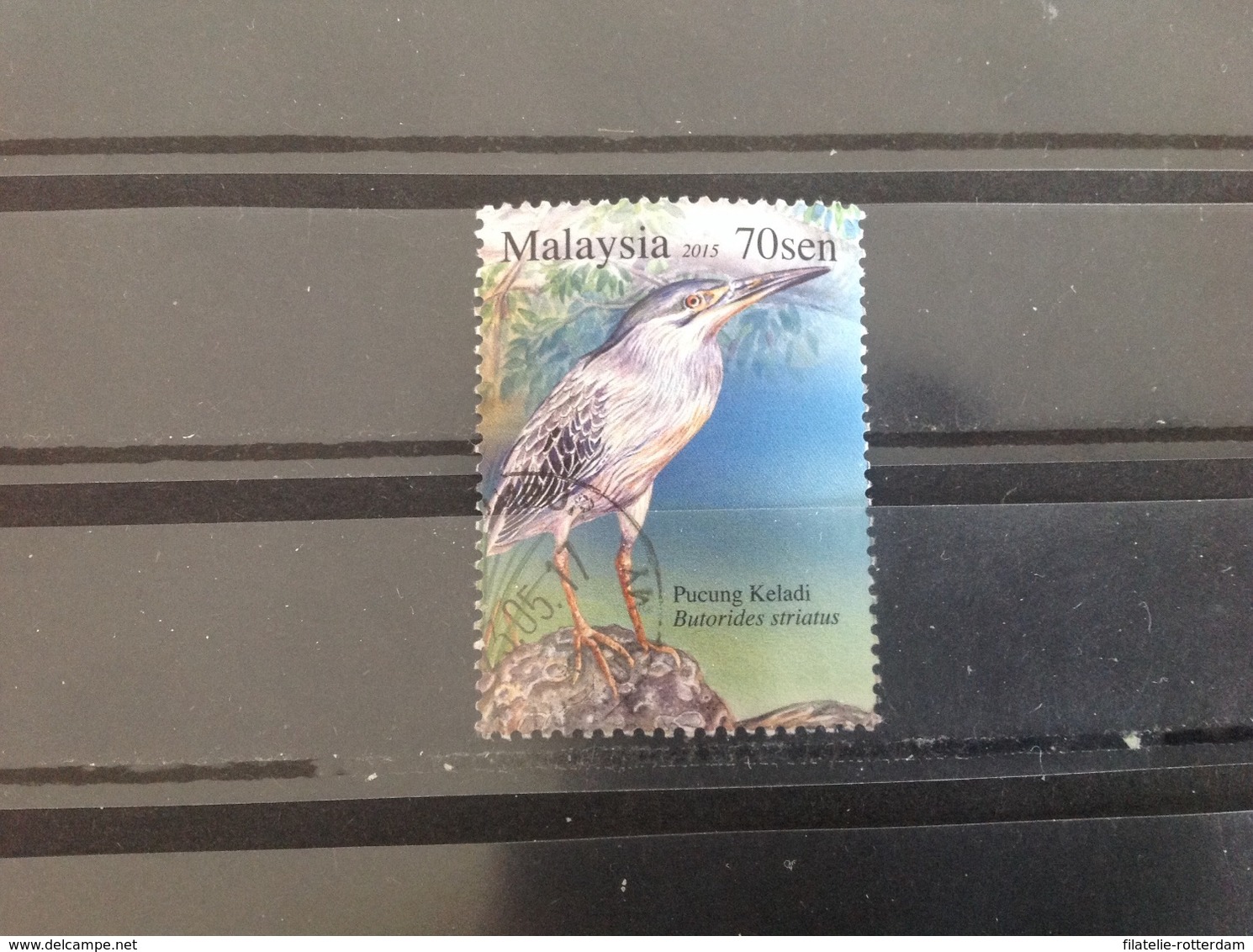 Maleisië / Malaysia - Vogels (70) 2015 - Maleisië (1964-...)