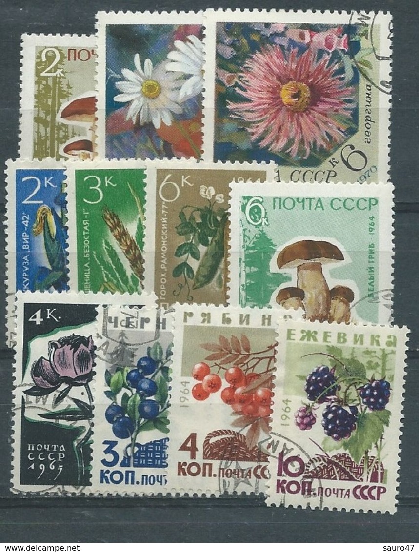 RU017    RUSSIA  Frutti E Fiori  11 V.  -  Usato - Colecciones