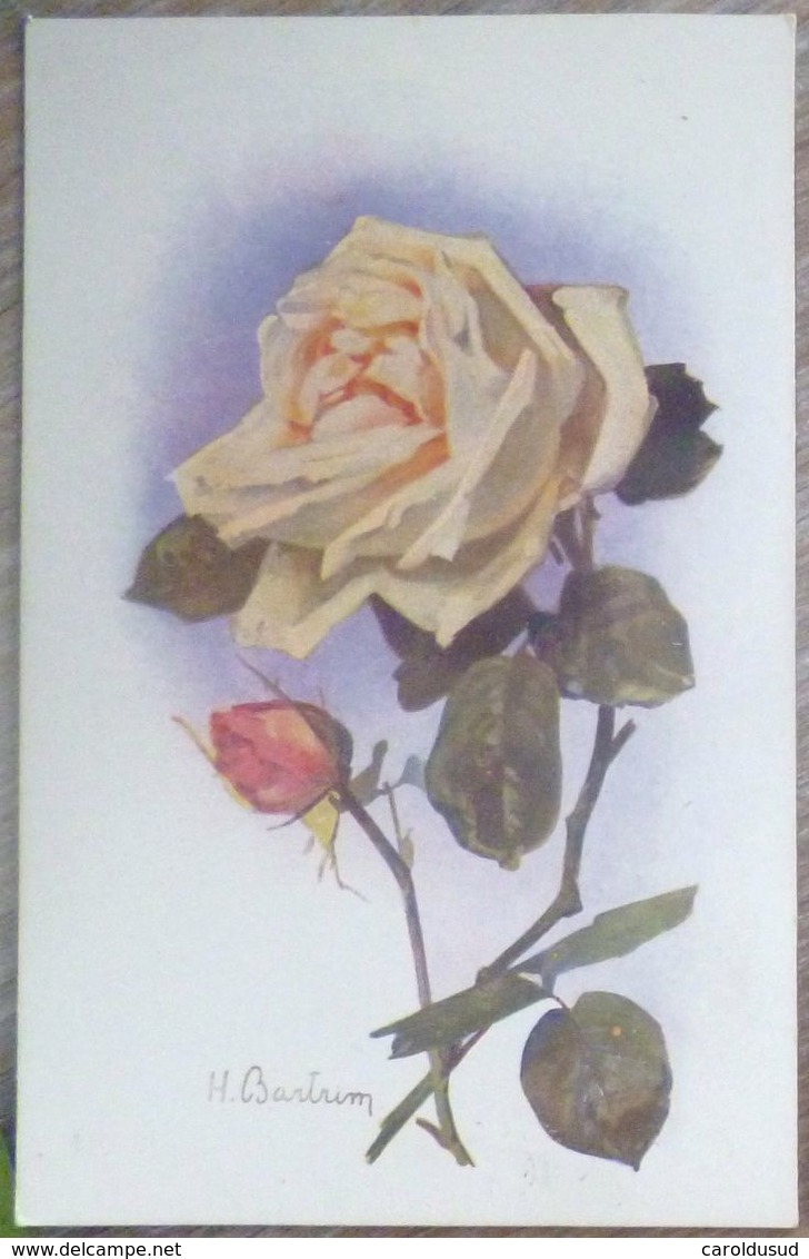 cpa lot 7x litho illustrateur divers  BOUQUET theme rose blanche dont 1 x double voeux mariage voir PHOTOS