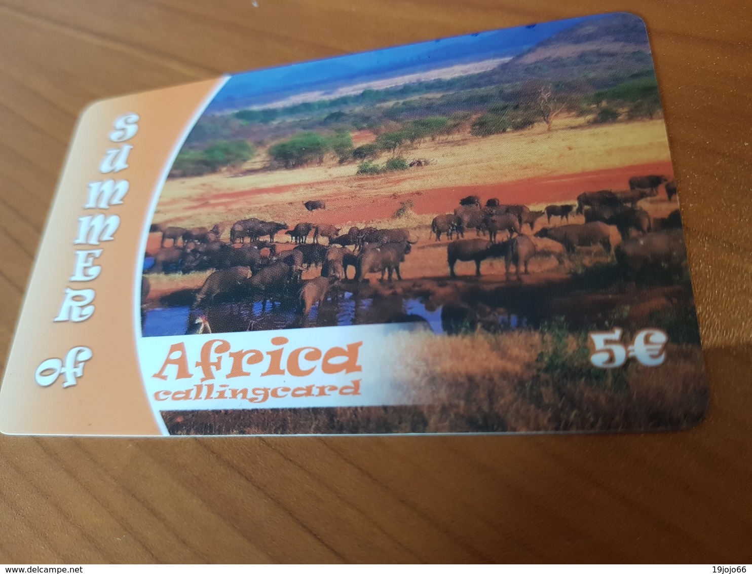 Summer Of Africa   - Animals Of Afrika   5 €   - Little Printed   -   Used Condition - [2] Prepaid