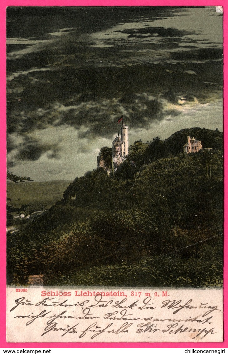 Schloss Lichtenstein - Château - Forêt - 1907 - Lichtenstein