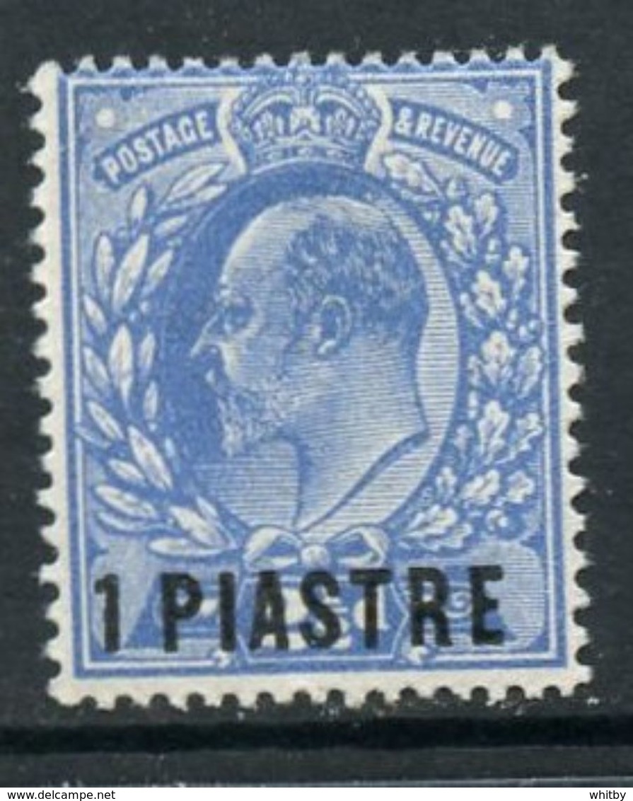 British Levant 1906 1p  Edward VII Issue #13  MNH - Brits-Levant