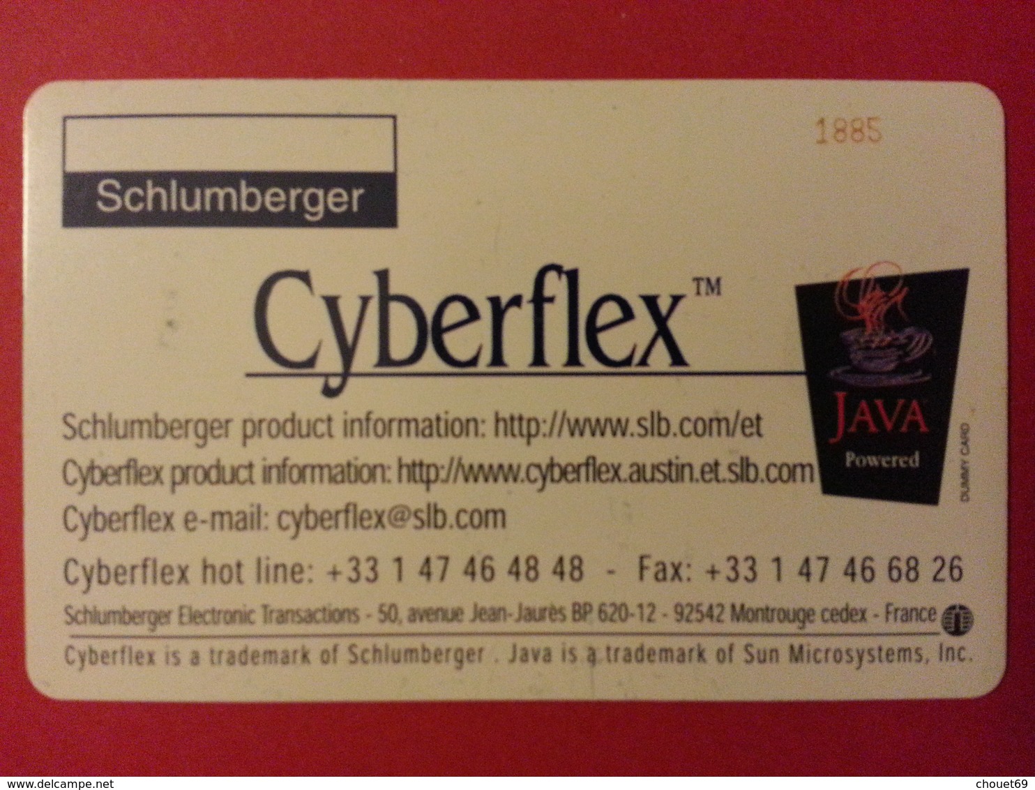 Test Schlumberger Cyberflex Java Papillon Avec Puce Et Numéros Au Verso Demo - Origine Inconnue