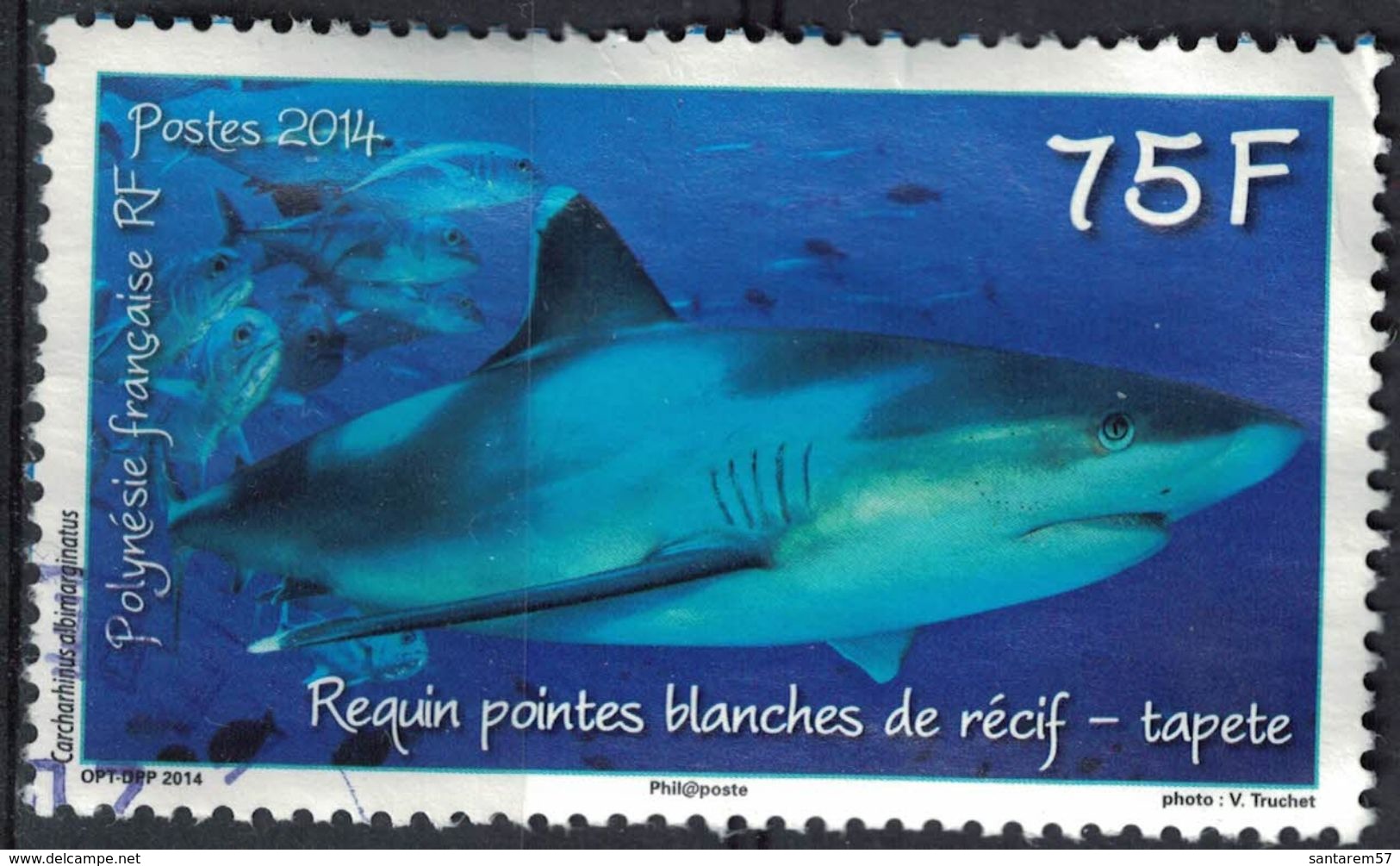 Tahiti 2014 Oblitéré Rond Used Requin Pointes Blanches De Récif Tapete SU - Tahiti