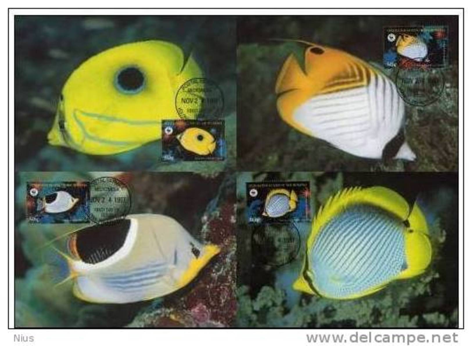 Micronesia 1997 WWF W.W.F. MC Butterfly Fish Set X4 Fauna Fishes Maximum Cards - Cartes-maximum