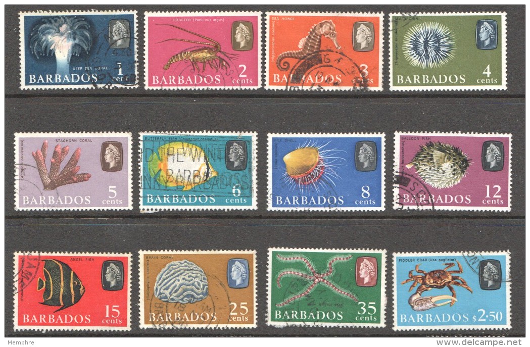 BARBADOS 1965   Marine Life  12 Values Used - Barbades (...-1966)