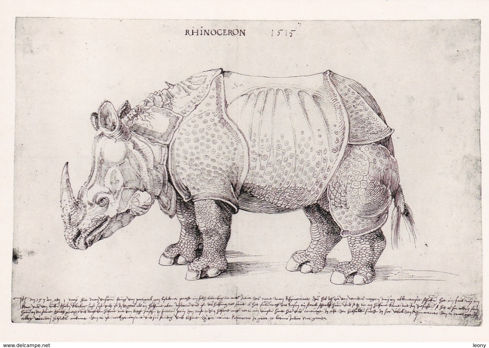 CPM  Représentant  Un " RHINOCEROS "  ALBERT DÜRER - Rhinocéros