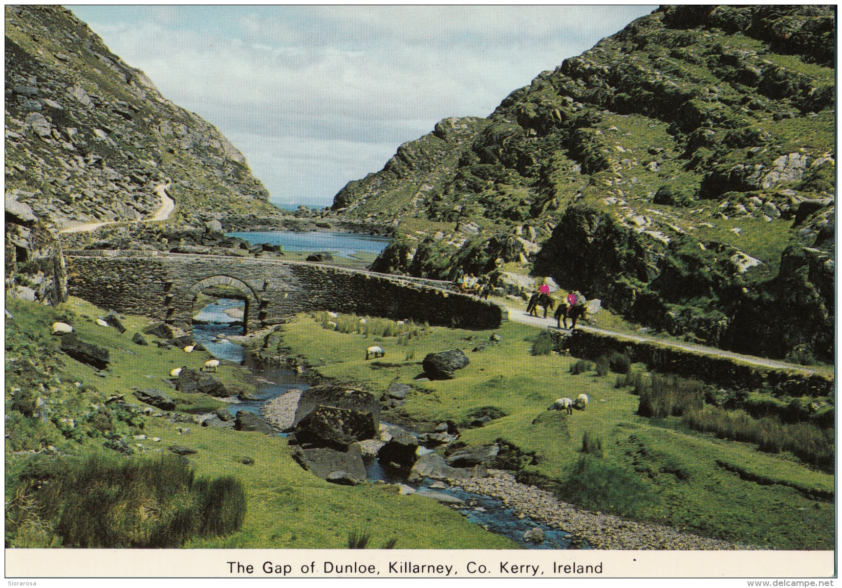 Irlanda - The Gap Of Dunloe, Killarney, Co Kerry, Ireland. - Kerry