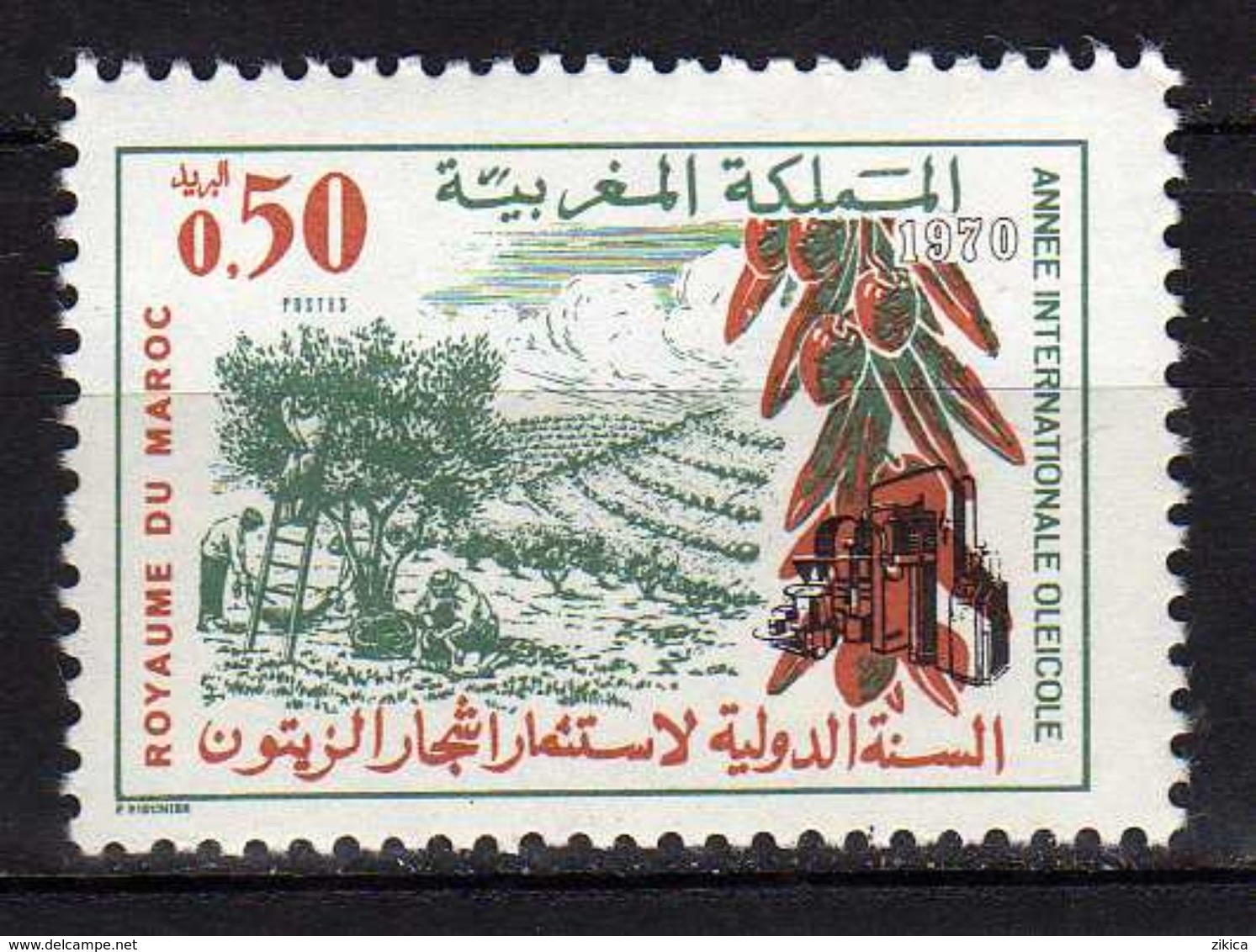 Morocco. Maroc 1970 World Olive Oil Production Year.Flora/Fruits/Olives. MNH - Maroc (1956-...)
