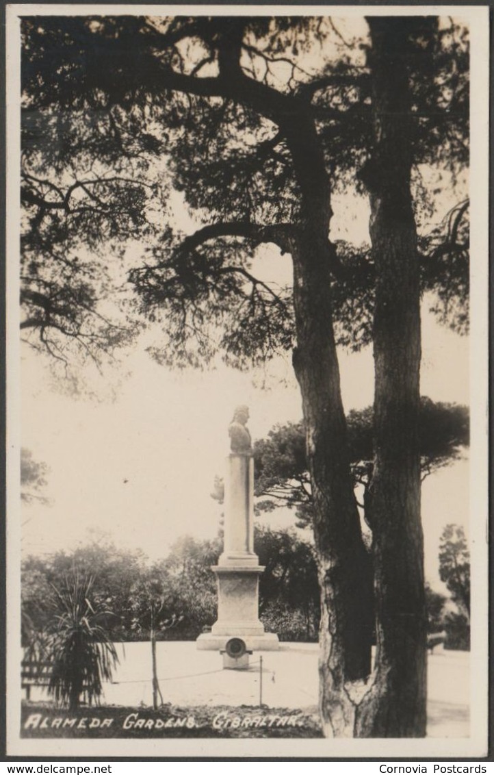 Alameda Gardens, Gibraltar, C.1920s - RP Postcard - Gibraltar