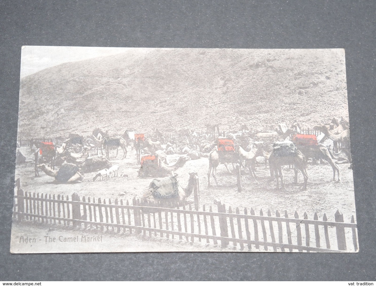 YÉMEN - Carte Postale D 'Aden - Le Marché Aux Chameaux - L 14020 - Yémen