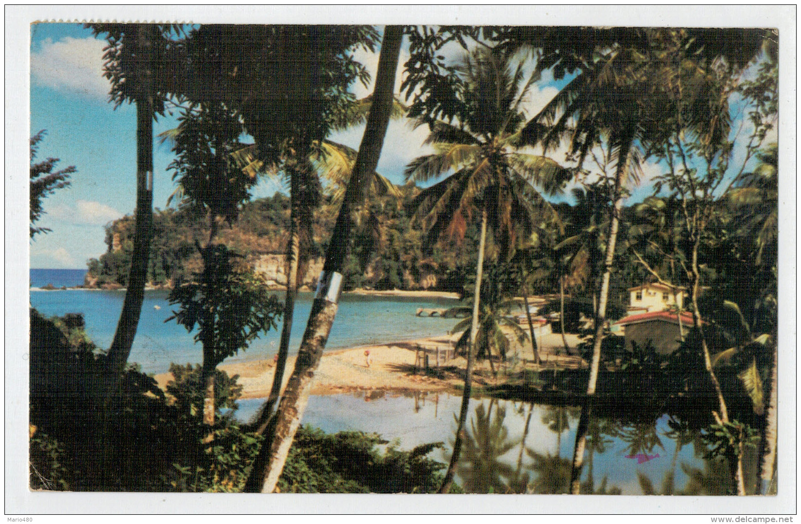 ST.  LUCIA    ANSE  LARAYE   ONE OF MANY BEACHES AND QUIET TROPICAL INIETS ON THE WEST COAST    2 SCAN  (VIAGGIATA) - Altri & Non Classificati