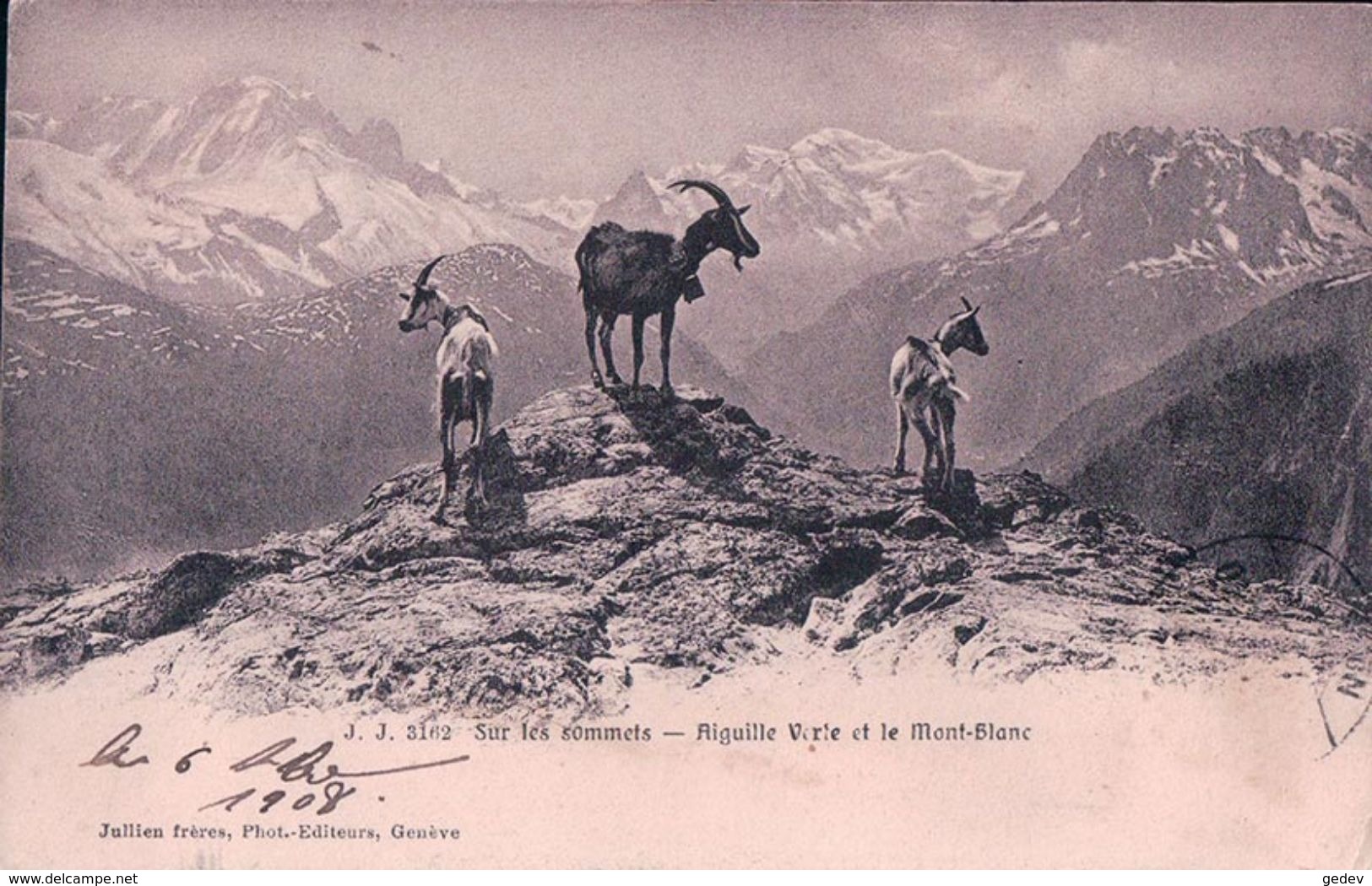 Chèvres Sur Un Sommet Des Alpes Avec Vue Sur L' Aiguille Verte (3162) - Autres & Non Classés