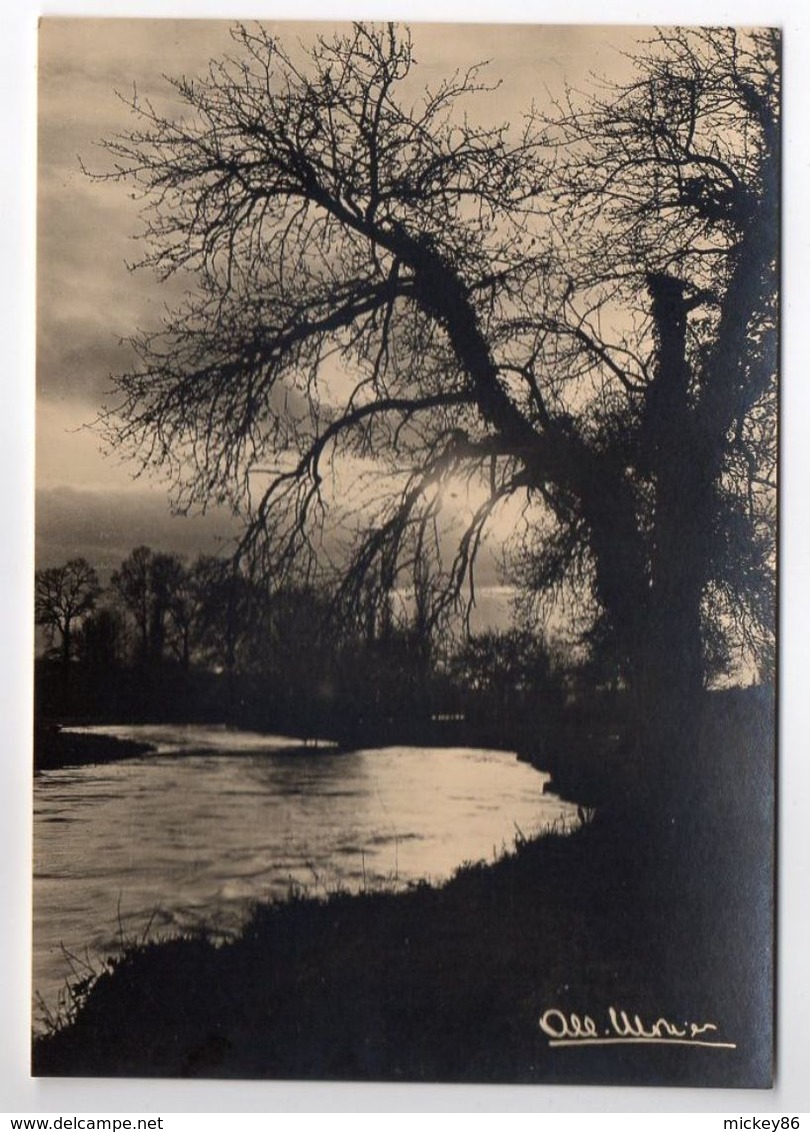 Photographe  Albert MONIER   -- Coucher De Soleil En Normandie  ( Araignée  ) - Monier