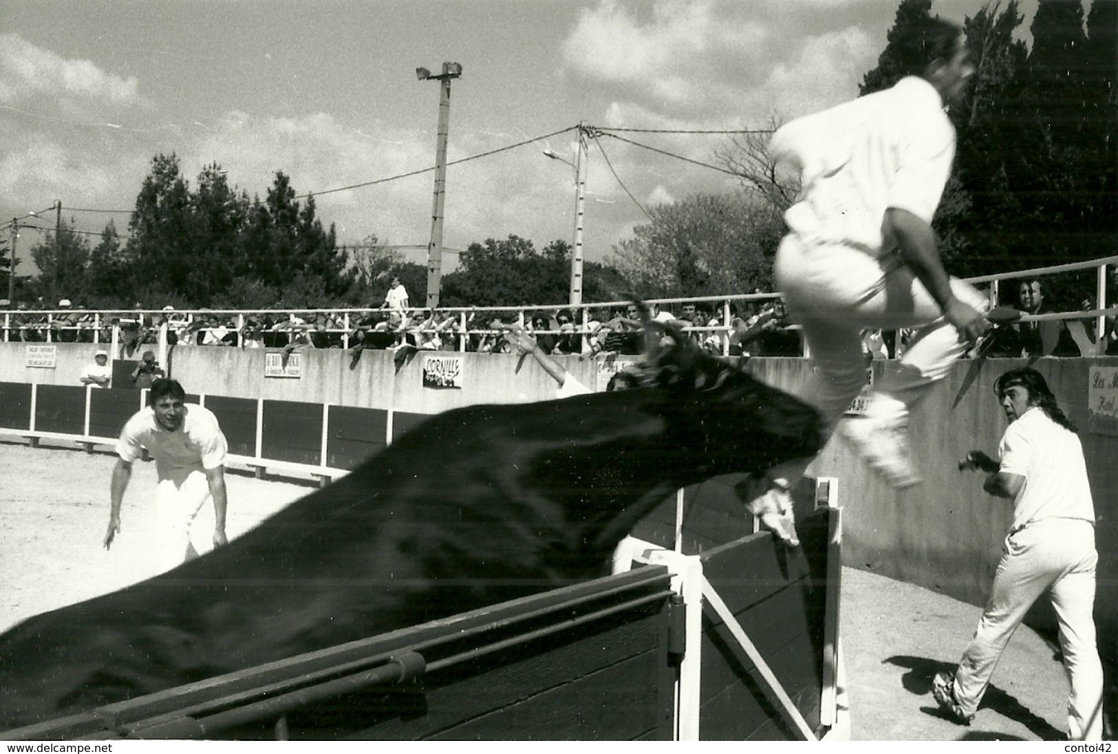 13 MAUSSANE PHOTOGRAPHIE DE PRESSE TAUREAU SOULAN RASETEUR GIRARD MANADE LAURENT COCARDE COURSE LIBRE - Luoghi