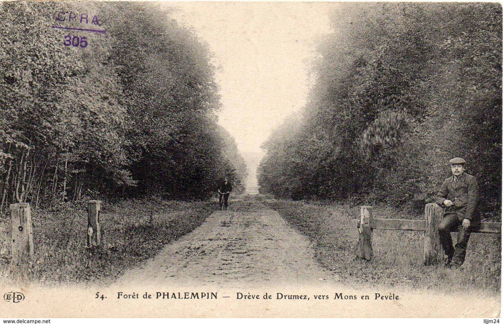 - Forêt De PHALEMPIN -1910- Drève De Drumez, Vers Mons En Pevèle - Autres & Non Classés