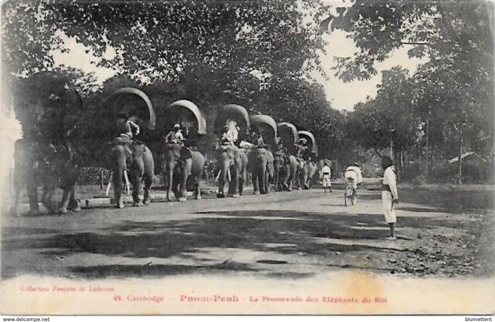 CPA Cambodge Asie Asia Non Circulé Type éléphant - Cambodge