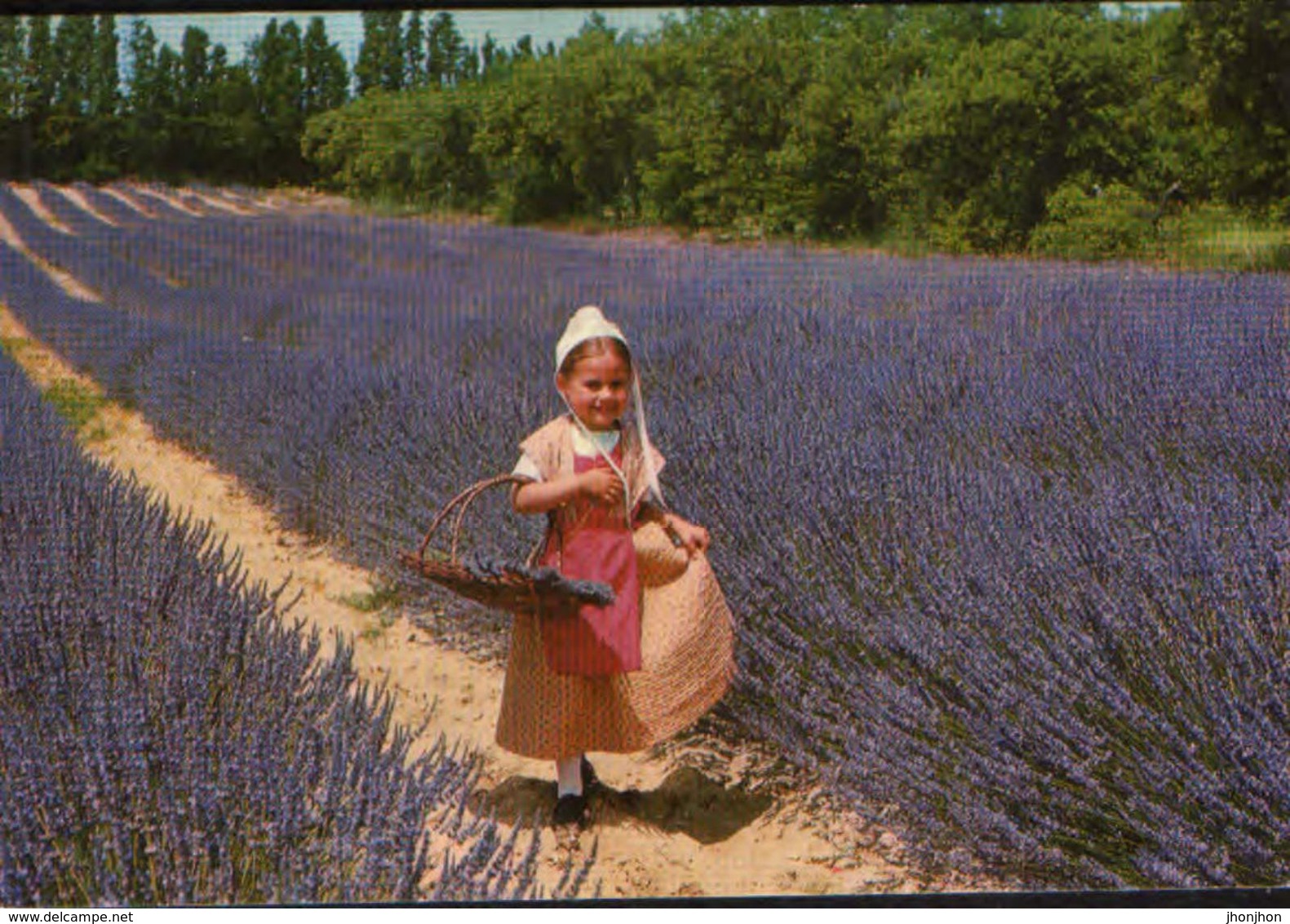 France - Postcard Written  - Young Provencal In Lavender  - 2/scan - Plantes Médicinales