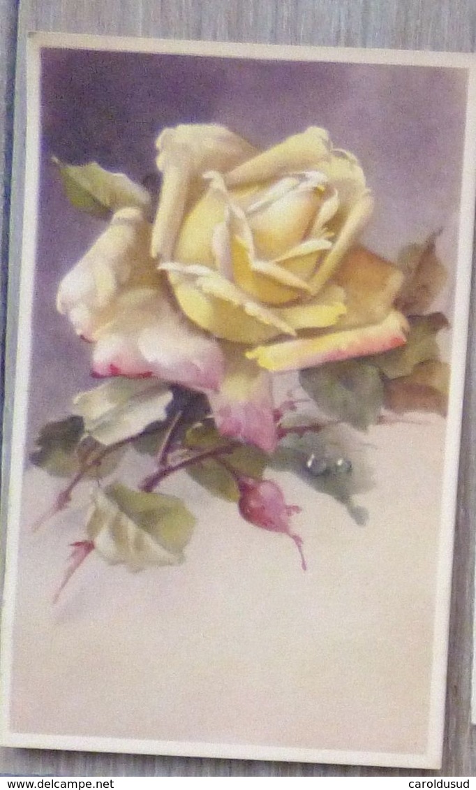 CPA lot 8x litho  illustrateur  EDITION L.P.  A.O.L.  K.F.  B.R.C.  KLEIN . K.G.L. roses FLEUR ROSE seule