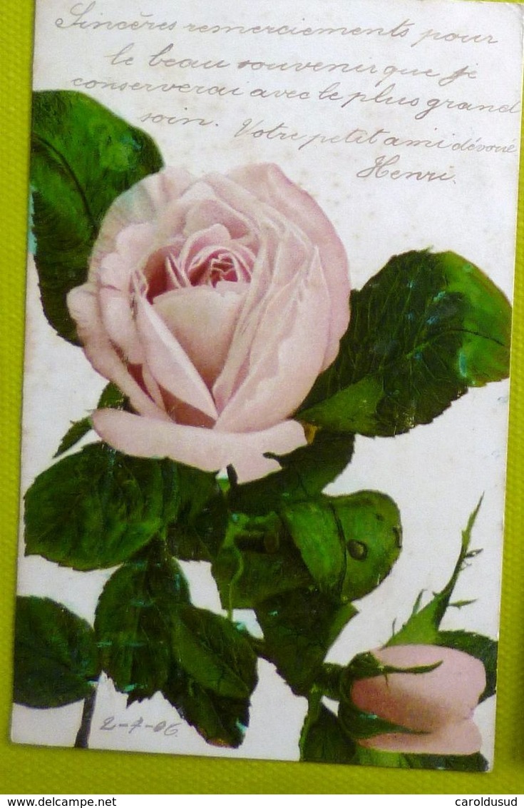 CPA lot 8x litho  illustrateur  EDITION L.P.  A.O.L.  K.F.  B.R.C.  KLEIN . K.G.L. roses FLEUR ROSE seule