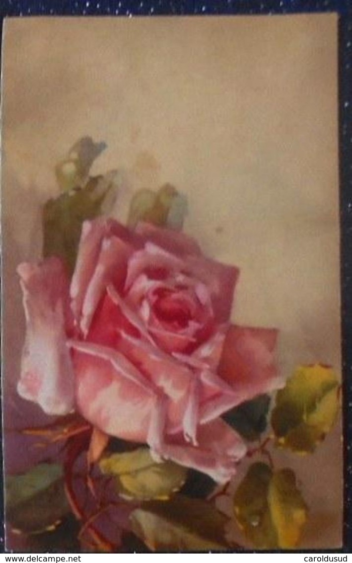 CPA lot 8x litho  illustrateur  EDITION L.P.  A.O.L.  K.F.  B.R.C.  KLEIN . K.G.L. roses FLEUR ROSE seule