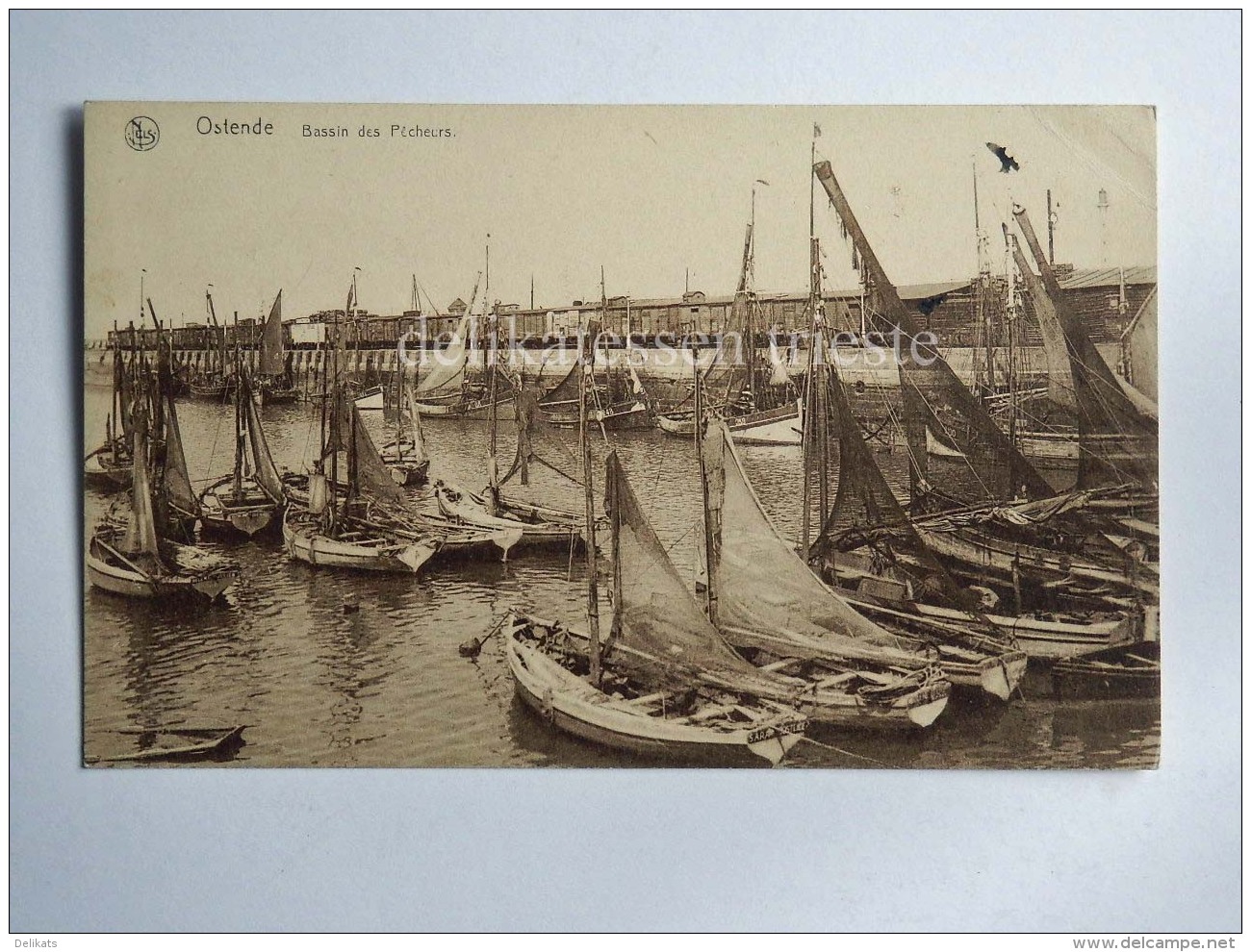 BELGIO BELGIUM OOSTENDE OSTENDE Ship Sailing Boat Barques De Peche AK Old Postcard - Oostende