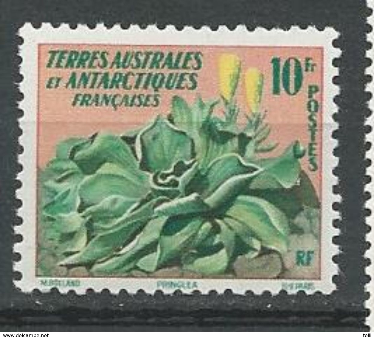 TAAF Scott  11 Yvert 11 (1) * Cote 10$ 1958 - Unused Stamps