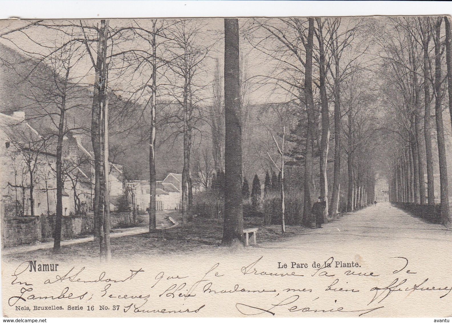 NAMUR /  LE PARC DE LA PLANTE  1901 - Namur