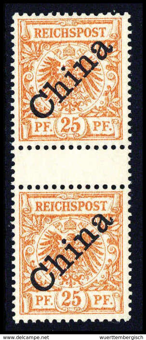 ** 25 Pfg., Tadellos Postfr., Senkr. Zwischenstegpaar.<br/><b>Katalogpreis: 800,-</b> (Michel: 5IaZS) - Other & Unclassified