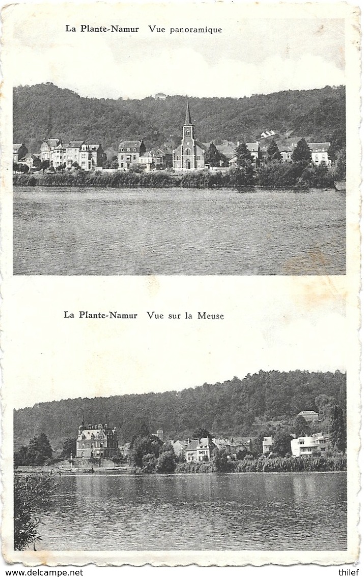 Namur NA85: La Plante. Vue Panoramique. Vue Sur La Meuse ( Carte 2 Vues ) - Namur