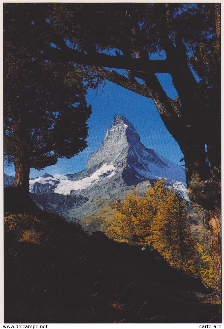 SUISSE,SVIZZERA,HELVETIA,VALAIS,VIEGE,ZERMATT,RIFFELALP MIT MATTERHORN,CERVIN - Viège