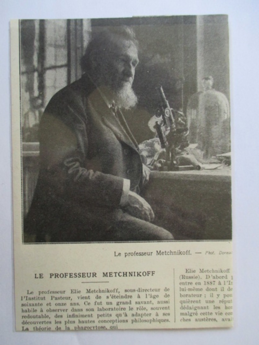 1916 - Institut Pasteur  - Mort Du Professeur Russe Ilya  Metchnikov  - Coupure De Presse Originale (Encart Photo) - Documents Historiques