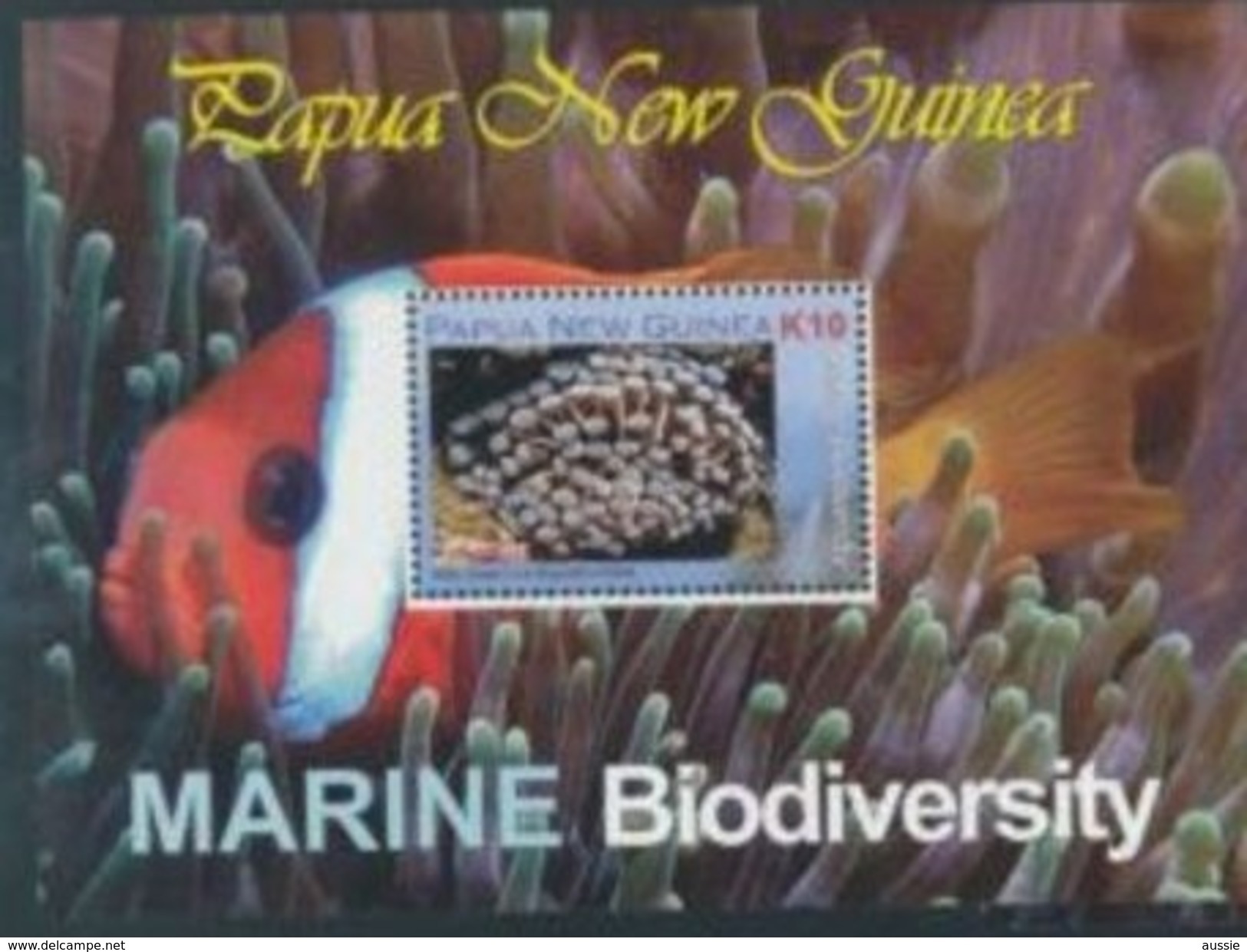 Papouasie Papua New Guinea 2008 Yvert Bloc 45 *** MNH Cote 9,70 Euro Faune Marine Life - Papouasie-Nouvelle-Guinée