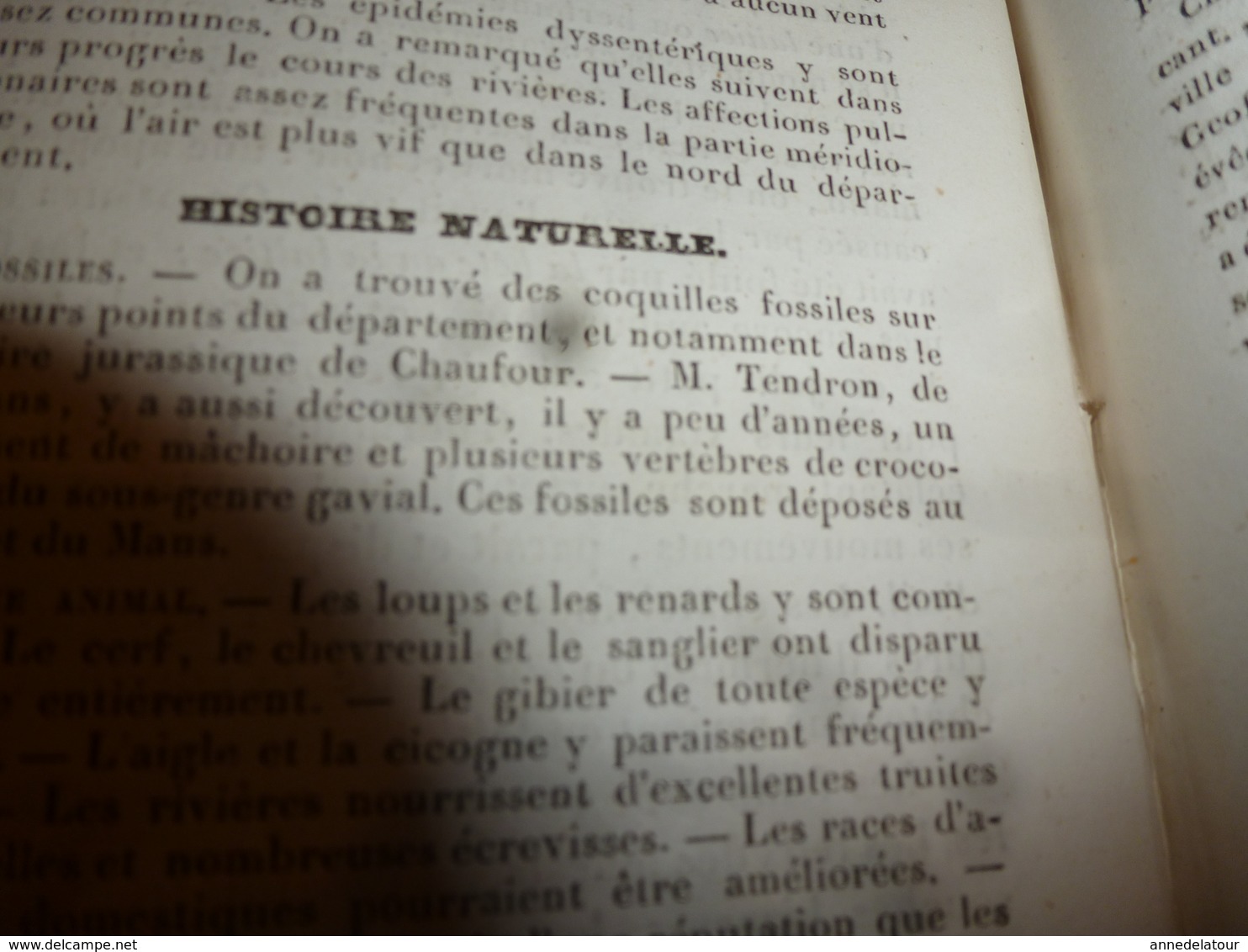 1935 SARTHE (Histoire naturelle-Anciens usages-Costumes-Villes et Châteaux-Population-Industrie et Commerces -etc)