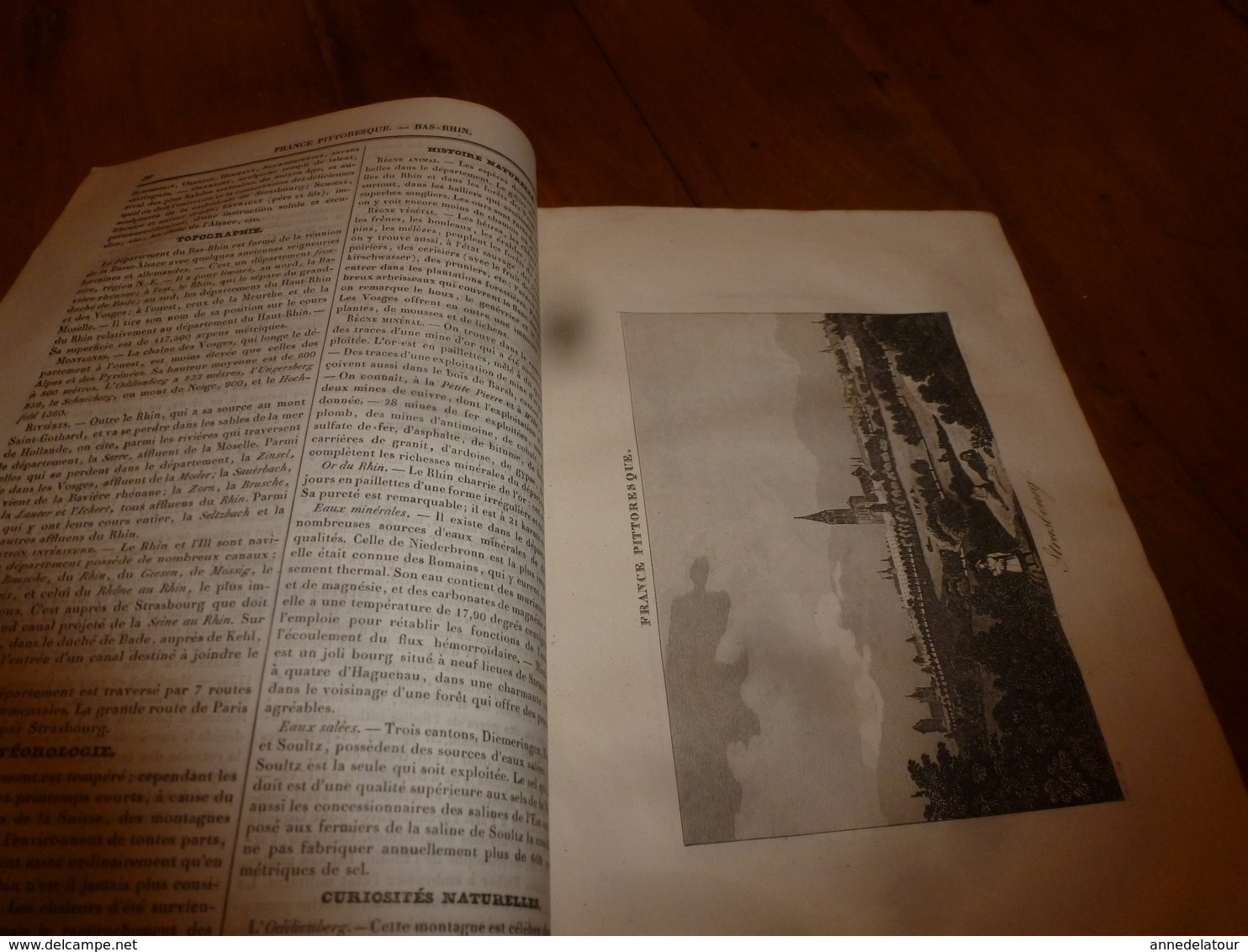 1935 BAS-RHIN Basse Alsace - (Histoire naturelle-Langage-Costumes-Villes et Châteaux-Population-Industrie -etc)