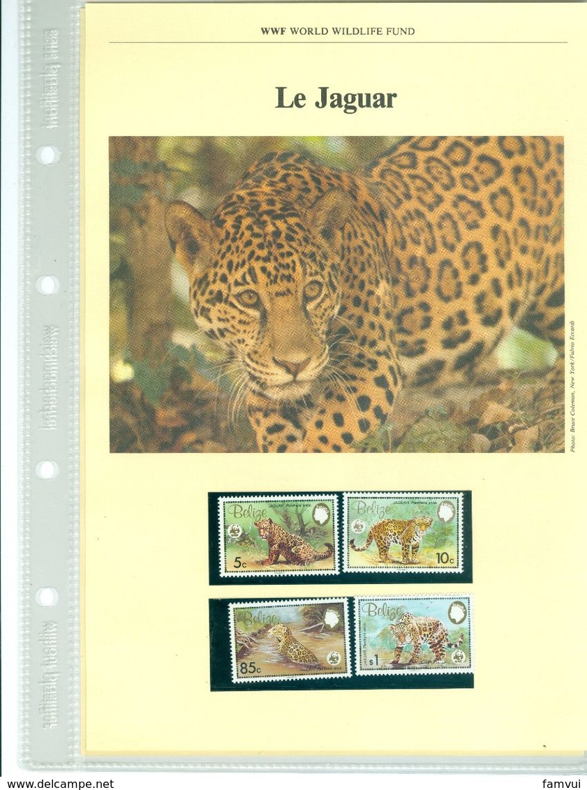 Album WWWF (1) Col. nature et an.sauv. elephant,ours,jaguard,poisson,serval,lamantin,couleuvre 4tim.neufs+4env 1° jour+f