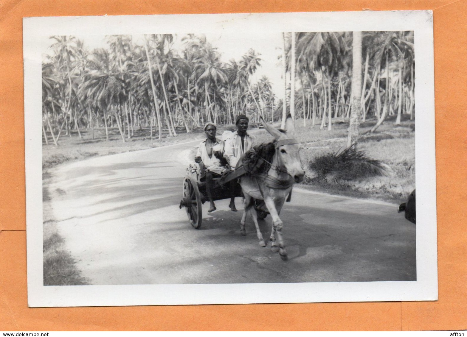 Zanzibar 1939 Real Photo Postcard - Tanzania