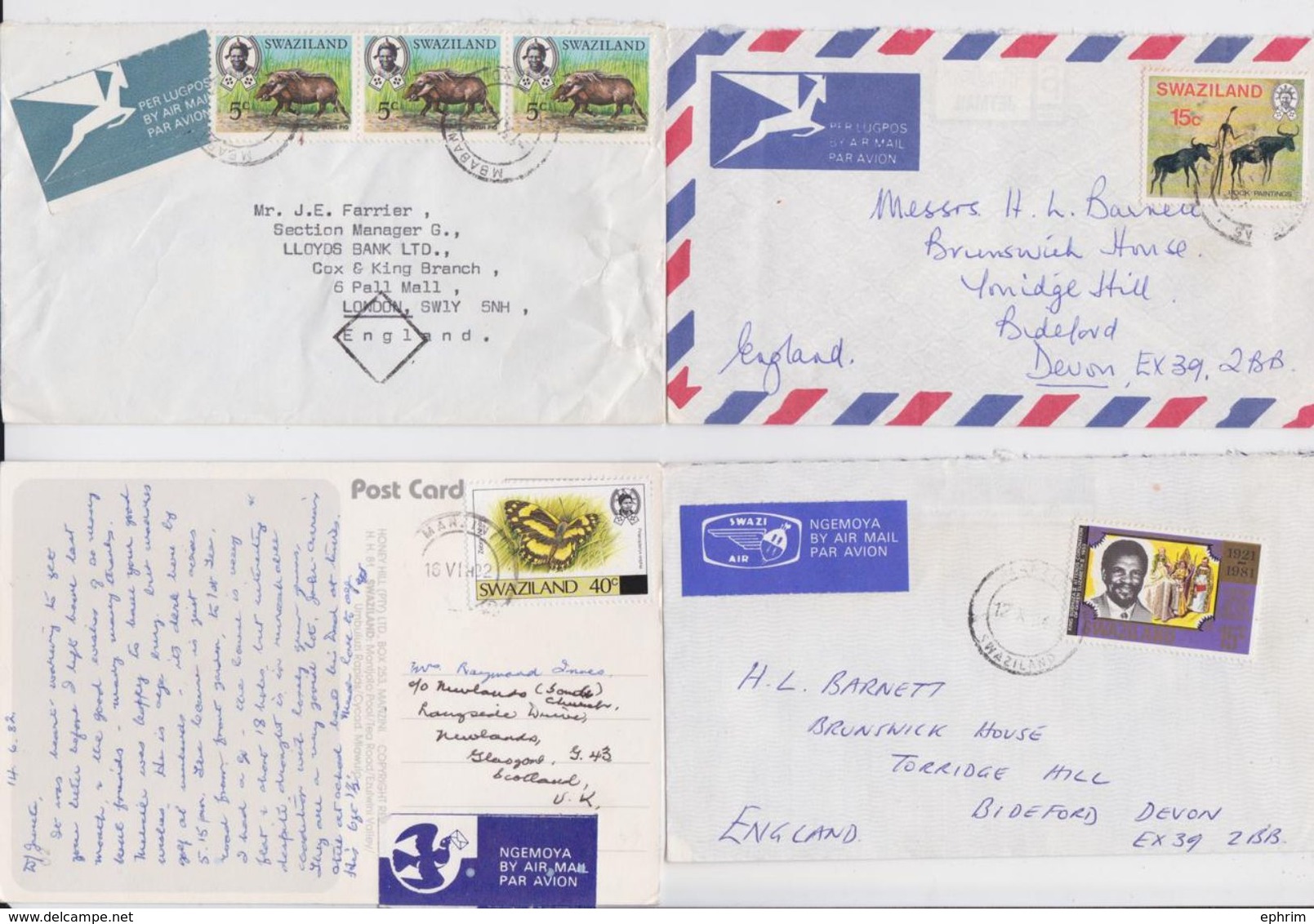 SWAZILAND - Lot De 9 Enveloppes Timbrées - Papillon - Cochon - Peinture Rupestre - Butterfly - Pig - Rock Paintings - Swaziland (1968-...)