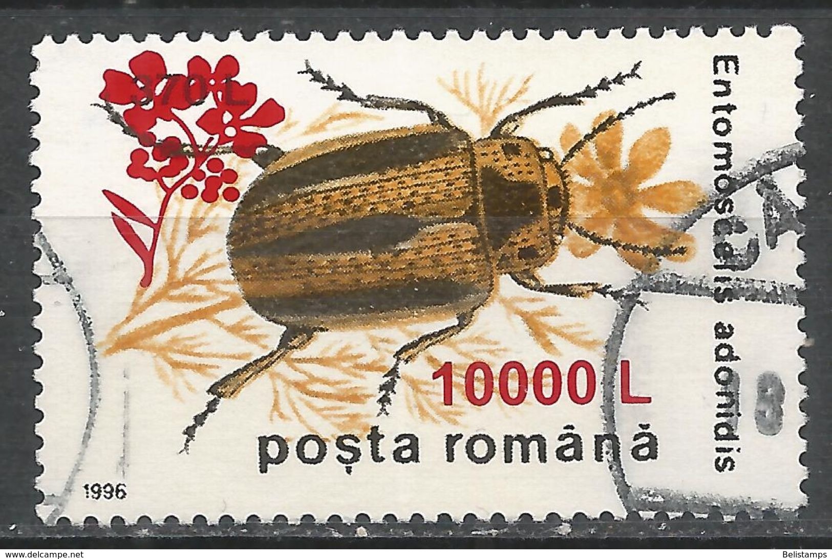 Romania 2000. Scott #4375 (U) Insect, Entomoscelis Adonidis * - Oblitérés